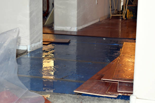 Professional Storm Water Damage Restoration technician working in Monroeville, IN